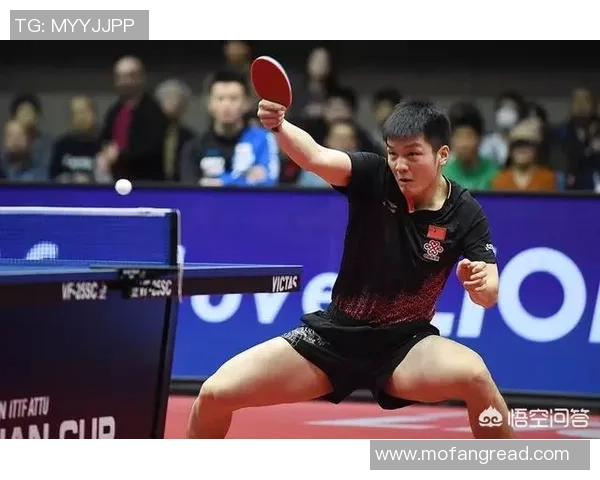 西安乒乓球队状态分析与表现评估的全面研究与探讨