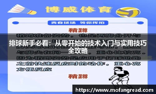 排球新手必看：从零开始的技术入门与实用技巧全攻略